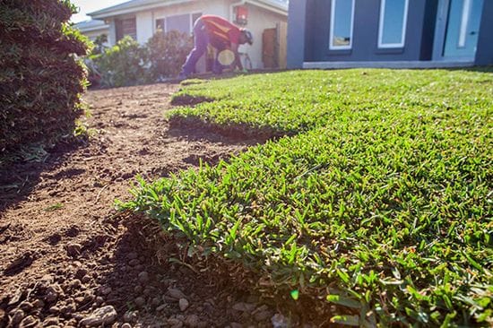 What you need to know before laying Turf.